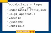 Vocabulary – Pages 194-196 Endoplasmic reticulum Golgi apparatus Vacuole Lysosome Centriole.
