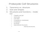 Prokaryote Cell Structures 1.Taxonomy vs. structure 2.Size and shapes 3.Structures and functions – inside out Flagella and pili Glycocalx Cell Wall Cytoplasmic.