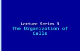 Lecture Series 3 The Organization of Cells. Reading Assignments Read Chapter 15Read Chapter 15 Endomembrane System Read Chapter 17 Read Chapter 17Cytoskeleton.