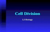 Cell Division L3 Biology. Why do cells divide? Growth Growth Repair/regeneration Repair/regeneration Reproduction Reproduction  asexual.