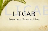 LICAB Barangay Tabing Ilog. Barangay Profile Livelihood Agriculture: Rice Poultry: Swine, Goat, Chicken, Ducks Source of Earning: Farming, Fishing Dwelling.
