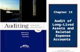 Chapter 13 Audit of Long- Lived Assets and Related Expense Accounts Copyright © 2010 South-Western/Cengage Learning.
