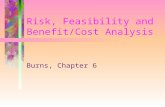 Risk, Feasibility and Benefit/Cost Analysis Burns, Chapter 6.