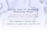 Instability of Black Holes Induced by Chern-Simons Terms Shin Nakamura (Kyoto Univ.) Based on S.N.-Ooguri-Park, arXiv:0911.0679.