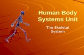 Human Body Systems Unit The Skeletal System The bones in a human body are living organs made of several different tissues.