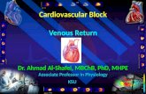 Cardiovascular Block Venous Return. Learning outcomes Describe structure related to functions of veins. Discuss functions of the veins as blood reservoirs.