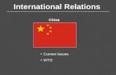 International Relations China Current Issues WTO.