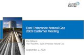 East Tennessee Natural Gas 2009 Customer Meeting Pat Gibson Vice President, East Tennessee Natural Gas September 2, 2009.