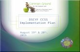DSCYF CCSS Implementation Plan August 19 th & 20 th, 2015.