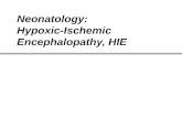 Neonatology: Hypoxic-Ischemic Encephalopathy, HIE.