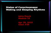 States of Consciousness: Waking and Sleeping Rhythms Intro Psych Module 15 Apr 28, 2010 Class #39.