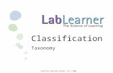 Classification Taxonomy Cognitive Learning Systems, Inc © 2008.