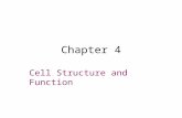 Chapter 4 Cell Structure and Function. .
