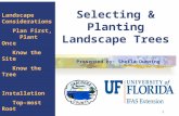 1 Selecting & Planting Landscape Trees Landscape Considerations Plan First, Plant Once Know the Site Know the Tree Installation Top-most Root Planting.