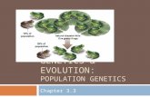GENETICS & EVOLUTION: POPULATION GENETICS Chapter 3.3.