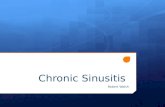 Chronic Sinusitis Robert Walsh. Sinus Anatomy  The Paranasal sinuses are paired hollow spaces surrounding the nasal cavity within the facial bones