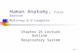 25-1 Human Anatomy, First Edition McKinley & O'Loughlin Chapter 25 Lecture Outline: Respiratory System.