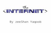By zeeShan Yaqoob. What’s the Internet? The Internet is built on a chaotic mishmash of hardware, governed by minimal standards and even fewer rules. Thousands.