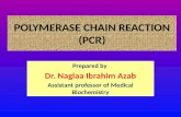 POLYMERASE CHAIN REACTION (PCR) Prepared by Dr. Naglaa Ibrahim Azab Assistant professor of Medical Biochemistry.