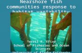 Nearshore fish communities response to habitat variability Terril P. Efird School of Fisheries and Ocean Sciences University of Alaska Fairbanks.