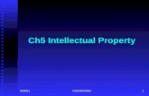8/26/01CSC309 Miller1 Intellectual Property Ch5 Intellectual Property.