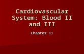 Cardiovascular System: Blood II and III Chapter 11.