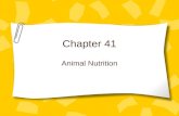 Chapter 41 Animal Nutrition. 3 Categories of Animals Omnivores-Consume plants and animals. Humans Herbivores-Consume plants Carnivores-eat other animals.