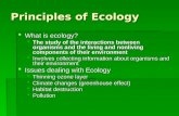 Principles of Ecology  What is ecology?  The study of the interactions between organisms and the living and nonliving components of their environment.