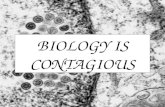 BIOLOGY IS CONTAGIOUS. 116 THINGS YOU NEED TO KNOW TO PASS THE MCAS BIOLOGY EXAM.