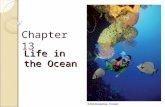 Life in the Ocean Chapter 13. Life, Energy, and FOOD! All life needs energy Energy is the ability to do work Identify different forms of energy: Chemical,