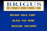 BRIGUS GOLD CORP. BLACK FOX MINE MUCKING INCIDENT.