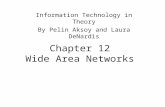 Chapter 12 Wide Area Networks Information Technology in Theory By Pelin Aksoy and Laura DeNardis.