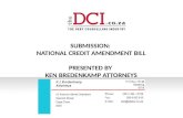 SUBMISSION: NATIONAL CREDIT AMENDMENT BILL PRESENTED BY KEN BREDENKAMP ATTORNEYS.