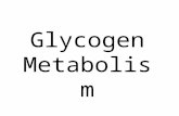 Glycogen Metabolism. Variation of liver glycogen levels between meals and during the nocturnal fast.