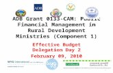 11 ADB Grant 0133-CAM: Public Financial Management in Rural Development Ministries (Component 1) Effective Budget Delegation Day 2 February 09, 2010.