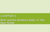 CHAPTER 3 Birth and the Newborn Baby: In The New World.