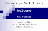 Welcome Mr. Swarner March 1, 2005 TCP/IP Packet Descriptor Detailed Design Paradigm Solutions.