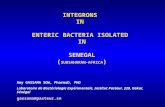 INTEGRONS IN ENTERIC BACTERIA ISOLATED IN SENEGAL ( SUBSAHARAN-AFRICA ) Amy GASSAMA SOW, PharmaD, PhD Laboratoire de Bactériologie Expérimentale, Institut.