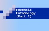 Forensic Entomology (Part I). Taphonomy Definition: The study of the conditions and processes by which organisms become fossilized. Forensically, the.