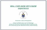 Wits_CSIR iGEM 2011/iGEM experience Presenter: Gloria Hlongwane School of Molecular and Cell Biology/ School of Chemical and Metallurgical Engineering,
