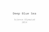 Deep Blue Sea Science Olympiad 2014. 1. What type of sea turtle am I?