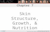 Chapter 7 Skin Structure, Growth, & Nutrition Learning Objectives Describe the structure and composition of the skin. List the six functions of the skin.