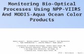 Monitoring Bio-Optical Processes Using NPP-VIIRS And MODIS-Aqua Ocean Color Products Robert Arnone (1), Sherwin Ladner (2), Giulietta Fargion (3), Paul.