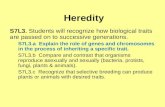 Heredity S7L3. Students will recognize how biological traits are passed on to successive generations. S7L3.a Explain the role of genes and chromosomes.