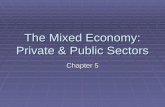The Mixed Economy: Private & Public Sectors Chapter 5.