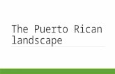 The Puerto Rican landscape. Puerto Rico Can you name of Puerto Rico’s natural landscapes? landscape is the features of a given area of land. Natural.