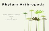 Phylum Arthropoda Julie, Neema, Prachi Patel & Shiwani Desai.