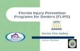 Florida Injury Prevention Programs for Seniors (FLIPS) Senior Fire Safety Senior Module.