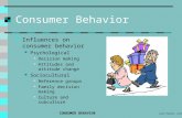 MKTG 370 CONSUMER BEHAVIOR Lars Perner, Instructor 1 Consumer Behavior Influences on consumer behavior Psychological Decision making Attitudes and attitude.