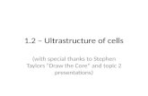 1.2 – Ultrastructure of cells (with special thanks to Stephen Taylors “Draw the Core” and topic 2 presentations)